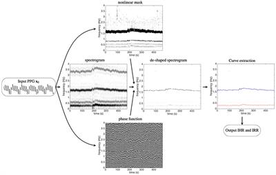 How Nonlinear-Type Time-Frequency Analysis Can Help in Sensing Instantaneous Heart Rate and Instantaneous Respiratory Rate from Photoplethysmography in a Reliable Way